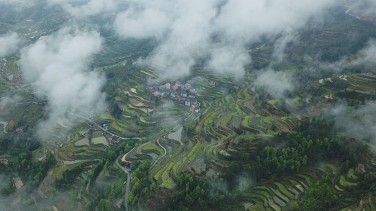 黎平县堂安梯田。