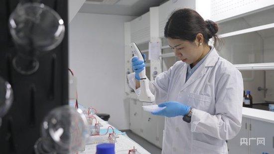 乔继月在做野生稻分子标记筛选实验(央广网记者 索迪 摄)