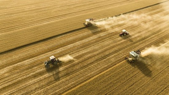 2025年6月4日，在河南省商丘市梁园区李庄镇潘堂村志诚种植农民专业合作社，农机手操作机械在农田作业（无人机照片）。新华社发（李恒 摄）