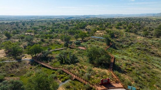 这是2025年7月22日拍摄的武威市古浪县八步沙林场。（武威市融媒体中心供图）