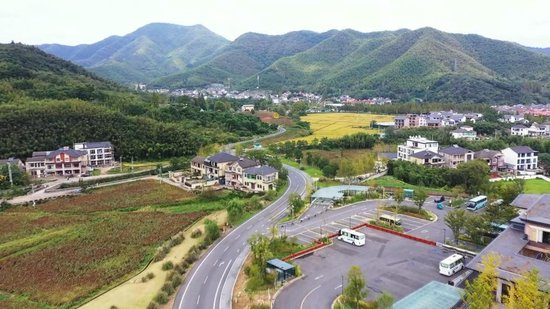 △如今，&ldquo;安吉白茶&rdquo;品牌价值突破62亿元，茶山已化作致富的&ldquo;金山&rdquo;。