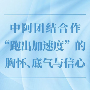 第一察看 | 外阿团结合作“跑没加速度”的襟怀、底气取信念 单干 加速度 共同体 外阿 底气 干系 阿拉伯国度 巴勒斯坦 部长级集会 阿方 sina.cn 第2张