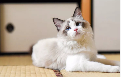 图片来源：视觉中国