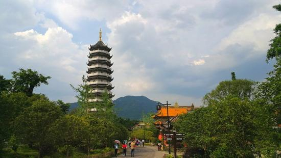 “美丽中国长江行”的媒体记者来到开州汉丰湖。