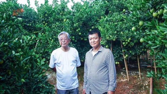  △褚时健和儿子褚一斌（右）