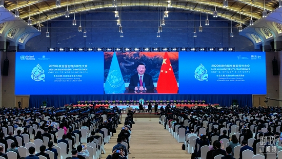  △习近平主席通过视频方式发表主旨讲话。（总台央视记者胡玮拍摄）