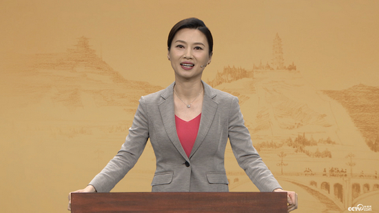  本集文化学者、中南大学杨雨教授