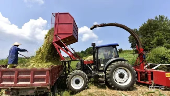  村民正在使用现代农机收割牧草（央广网发 吴贤和 摄）