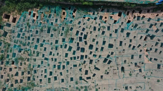  △西安南郊一建筑工地发掘的战国古墓群，密密麻麻似蜂巢。