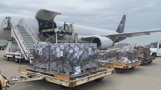 来自中亚国家的车厘子运抵西安。（受访者供图）