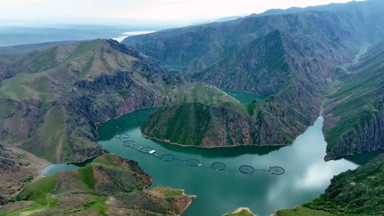 美白祛斑产品排行榜_面部美容_逗游小游戏(2)