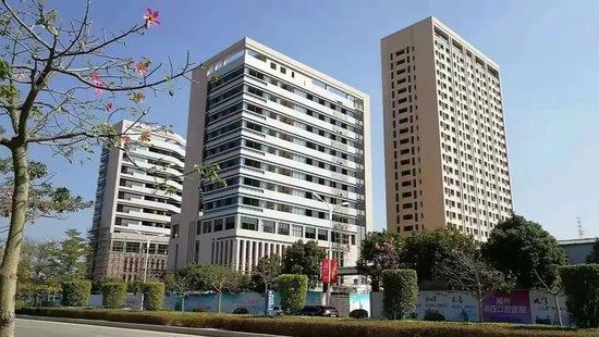 16日出现“小高峰” 客流以省内城市居多