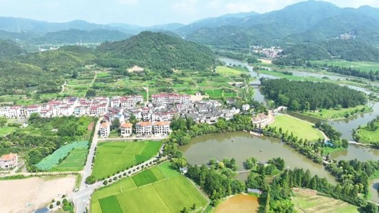  武义坛头村全景。武义县委报道组供图