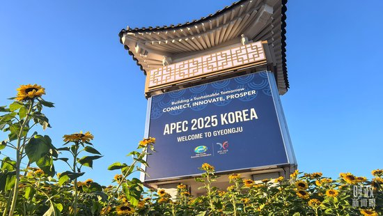 △庆州街头的APEC标语。(总台央视记者张垚拍摄)