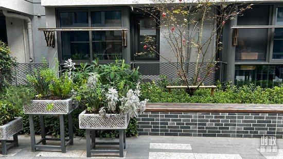 △市民新村居民区里的绿化带。（总台央视记者辛乔拍摄）