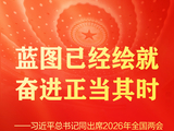 习近平总书记同人大代表、政协委员共商国是纪实