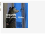 朋友圈怎么了？“这几天突然被一只老鼠刷屏”