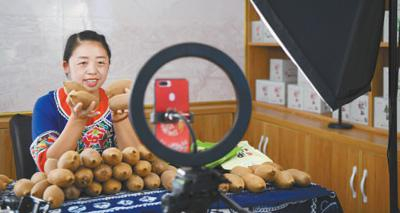 湖南湘西土家族苗族自治州凤凰县廖家桥镇菖蒲塘村电子商务中心主播黄小琼在直播销售猕猴桃。人民视觉