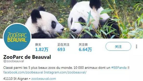  动物园Twitter主页