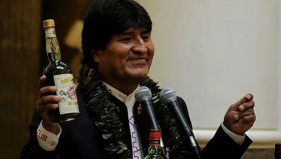 （手持古柯叶饮料的莫拉莱斯）