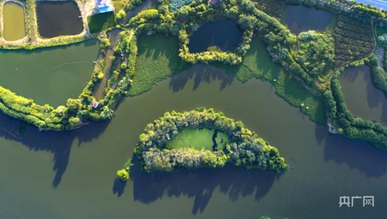  南昌县冈上镇水草繁茂、风景宜人（央广网发 李悭 摄）