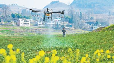 贵州省毕节市纳雍县曙光镇，农民用无人机对小麦进行黄锈病预防作业。&nbsp;&nbsp;　　张晓勇摄（影像中国）