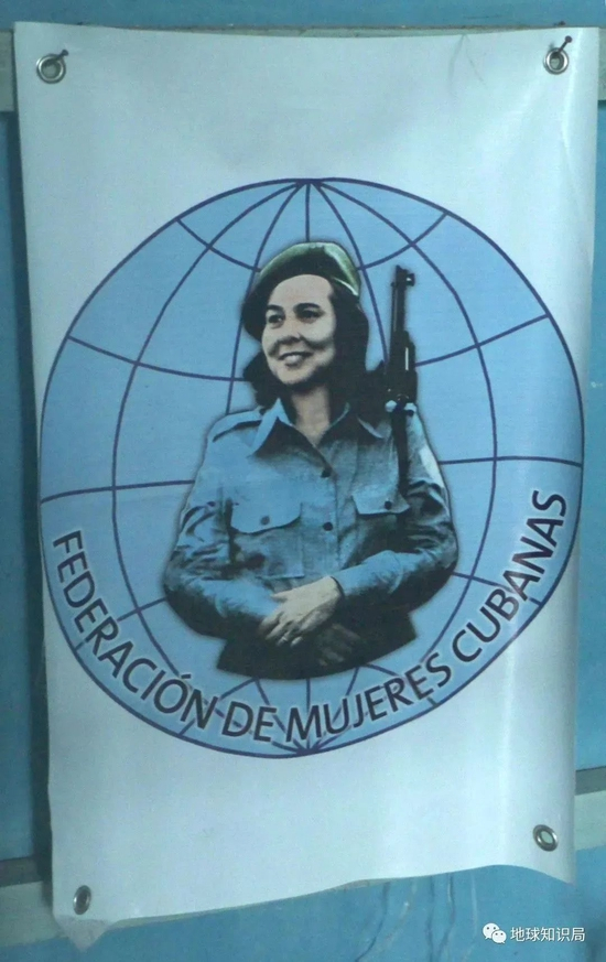 （图：wiki）▼