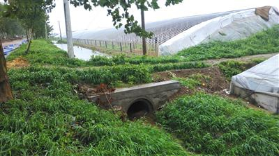 　　8月12日，寿光市纪台镇，积水汇集到新修建的排水渠内，后排入附近的河流中。 新京报记者 刘名洋 摄