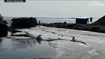 　　2019年4月，一只北极熊出现在俄罗斯远东堪察加半岛的季利奇基小镇，这里距离它的栖息地达700公里。