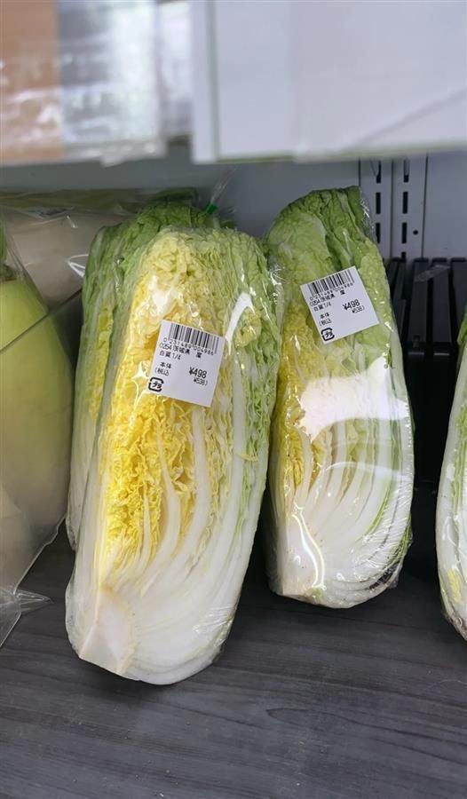  今年3月底，一位网友在社交平台上发布了一张四分之一棵日本白菜的照片（图片来源网络）