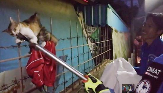 　救援人员用钳子小心翼翼地把它从金属栏杆上拉出来