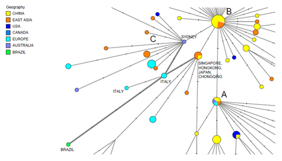 ▲截图来自论文的原文图表