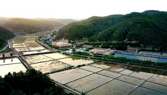 　△陕西延安南泥湾稻田（2021年5月25日摄）。新华社发（祁小军摄）&nbsp;