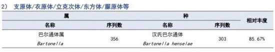  患者的mNGS检查报告。