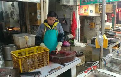 周文成杀鱼的动作很娴熟，他说一天最多要杀五六百条鱼