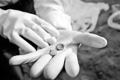 挖掘出的疑似八路军军服的纽扣