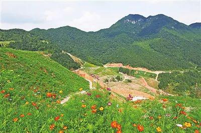  ▲大宝山矿今年将完成复垦复绿1332亩。本报记者 祝桂峰 摄