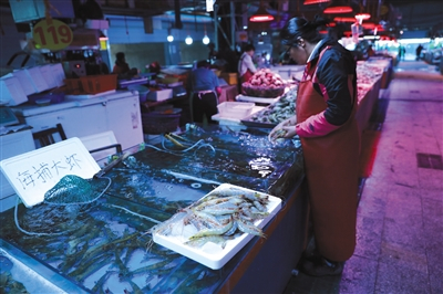 10月2日，青岛市埠西海鲜批发市场，一摊主正在整理海捕大虾。陈虫儿 摄