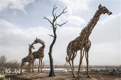 3月29日，世园会园区，植物馆楼顶的长颈鹿模型。新京报记者 彭子洋 摄