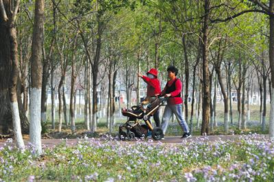 昨日，朝阳区金盏乡温榆河绿道朝阳段，市民带着孩子游玩。 本版摄影/新京报记者 王飞