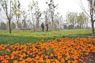 昨日，市民雨中游览太阳宫安馨花园。 本版摄影/新京报记者 王飞