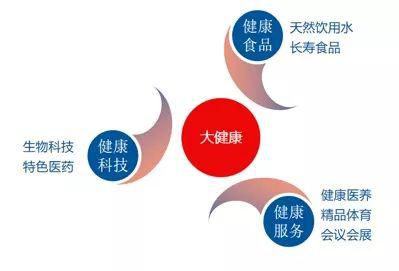 　（图为“深巴试验区”大健康产业规划布局）