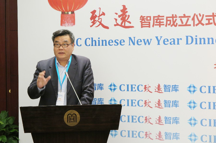 中国国际问题研究院欧洲所所长，致远智库专家委员崔洪建先生发言