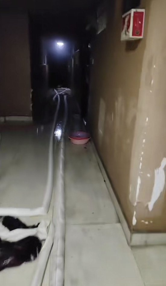 戴军（化名）社交媒体平台截图