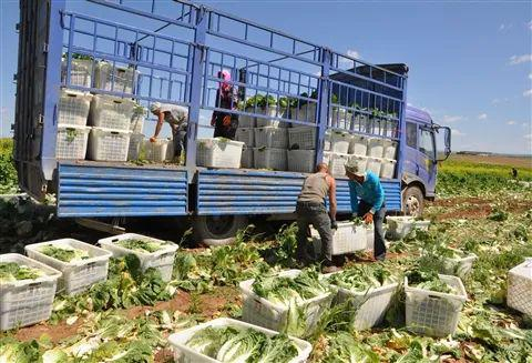  来源：乌兰察布新闻网