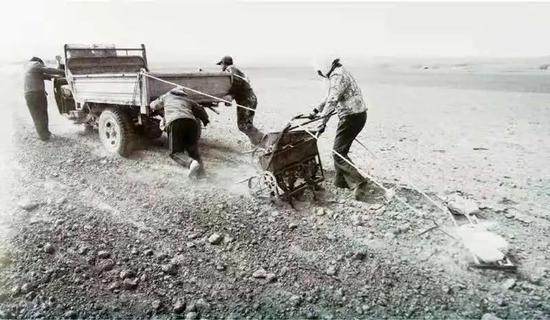 ▲西海固移民初到闽宁村时，要在戈壁滩上开荒，用筛子把沙砾一点点筛拣掉，留下的土壤才能耕种。受访者供图。