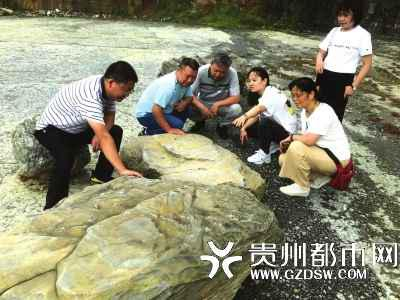 专家在现场考察化石群。