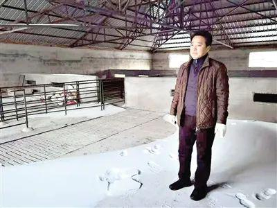 因未获补贴无钱入栏，延寿县的哈尔滨大三农牧业有限公司的现代化猪舍一直闲置。记者　程子龙　摄