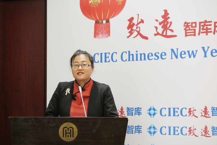 致远智库专家委员，中国社科院西亚非洲研究所研究员贺文萍教授发言