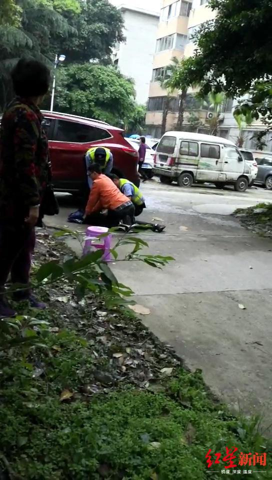 ↑当时刘飞和民警一起将流浪狗制服。